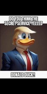 DonaldDuck.thumb.jpg.68acc84641c7e363b442b25d0a8ccf32.jpg