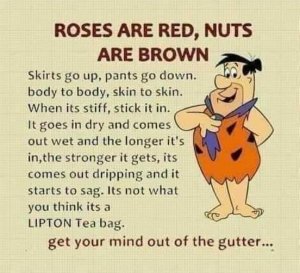 nutsarebrown.thumb.jpg.8cd1b7fdf3a47d9fffbdc53d3f31bd8a.jpg