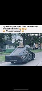 temutesla.thumb.jpg.87fe6d29c61b3fb0cb64552eaca39f99.jpg