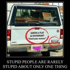 earthisflat.thumb.jpg.ab885f489da5d6f035d7f0aade80bd45.jpg