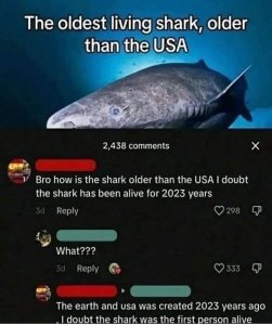 oldshark.thumb.jpg.4413abbf9275b0137133966e812937f3.jpg
