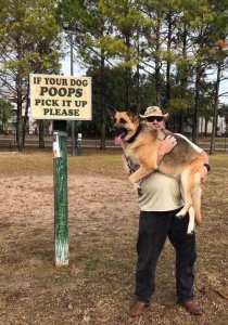 dogpoops.thumb.jpg.198249bf99e73820080d4680115e84de.jpg