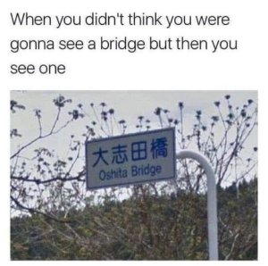 seeabridge.thumb.jpg.7fff9dbf9ddd337c770ec9d8717b9bd3.jpg
