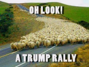trumprally.thumb.jpg.022e80c85f7fc89a4bcbcb242d05cf29.jpg