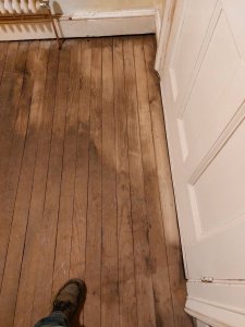20241130_164652.thumb.jpg.b501ac5c359362d3e63c9185bda4bc2a.jpg