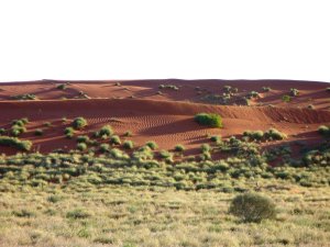 Copy of P1020264.JPG