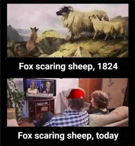 Foxscaringsheep.thumb.jpg.70cac365ca0aecf90090c062ff68bb20.jpg