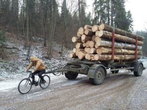 collectingfirewood.thumb.jpg.93399852c922234e051f3002adf9b5d7.jpg