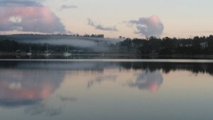 IMG_20210105_053936.jpg