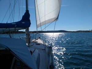 IMG_20220312_101734.jpg