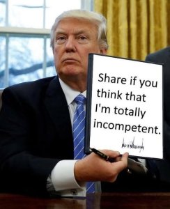 incompetent.thumb.jpg.58b662a2dbd094ba4e1b921cd3adcf98.jpg