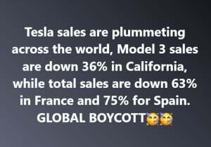 teslasalesdown.thumb.jpg.498853279724831e0848323ae571abf3.jpg