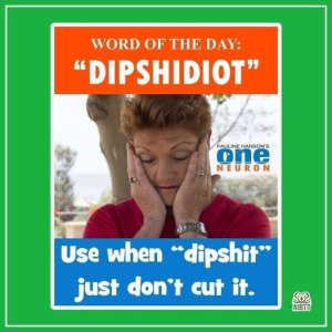 dipshidiot.thumb.jpg.f1d5a597f9fad8042859633482ac9a65.jpg