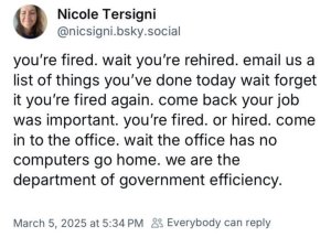 govefficiency.thumb.jpg.2a080dce8a585eac61916e20b56b05be.jpg