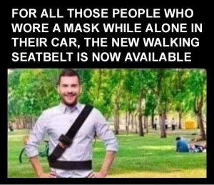 walkingseatbelt.thumb.jpg.343b99efc87ed543583f1414b53d29cb.jpg