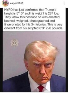 Trumpweightheight.thumb.jpg.1640460c641b614a1df0377bf34fe72b.jpg