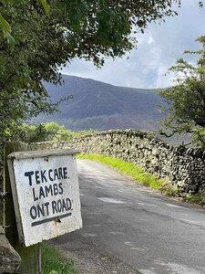 Yorkshiresign.thumb.jpg.c4e0e6d4a34583dbdd3feb26a14857db.jpg