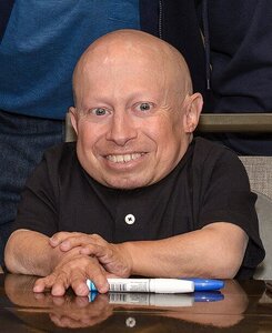 Verne_Troyer.thumb.jpg.e569186f4d5046491819aecf6b3c6753.jpg